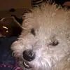 steveprior53 - @steveprior53 - TikTok