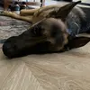 Steve Pritchard - @steve.pritchard03 - TikTok