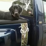 Steve Probst - @probst9309 - Instagram