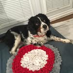 Steve Proud - @drstevenproud - Instagram
