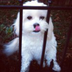 Steve Provost - @provo9 - Instagram