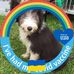 Steve Provost - Facebook