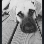 Steve Pullen - @steve.pullen.395 - Instagram