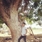 Steven Palas - Facebook