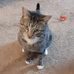 Stephen Puls - Facebook