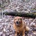 Stephen Puls - Facebook