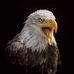 Steven Puls - Facebook