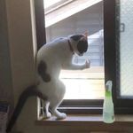 Steve - @steve.pulver - Instagram