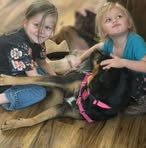 Steve Pumphrey - Facebook