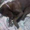stevepumphrey5 - @steve.pumphrey5 - TikTok