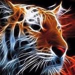 Steve Purcell - @purcell4135 - Instagram
