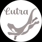 Lutra Guitars by Steve Purnell - @lutraguitars - Instagram