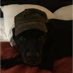Steve Purser - @pursersteve - Instagram