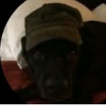 Steve Purser - @steve.purser1 - Instagram
