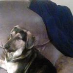 Steve Pursley - @steve.pursley.37 - Instagram