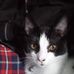 Steven Purvis - Facebook