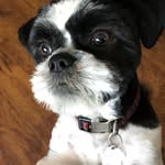Steve Puskas - @mr.eman123 - Instagram