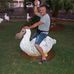 Steve Putman - Facebook
