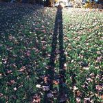 Steve Putnam - @steve.putnam - Instagram