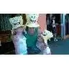 Steve Pyle605 - @stevepyle605 - TikTok