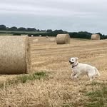 Steve Pyne - @devon.buoy - Instagram