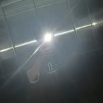 stevenqiu - @steven_qiu2012 - Instagram