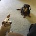 Steve Quandt - Facebook
