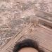 Steve Guarin - Facebook