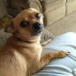 Steve Queen - @steve.queen - Instagram