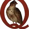 Steve Quehl - @stevequehl4 - TikTok