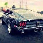 Steve Quenzer - @quenzer1 - Instagram