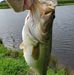 Steve Quesenberry - Facebook