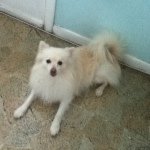@steve_quezada_ - Instagram