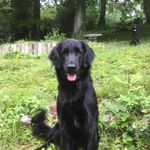 Steve Quick - @quick5034 - Instagram