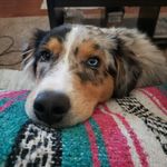 Steve Quick - @qwik.82 - Instagram