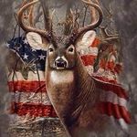 Steve Quick - @steve.quick - Instagram
