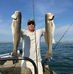 Steve Quill - Facebook