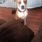 Steve Quillen - @quillenray - Instagram