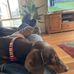 Steve Quinlan - Facebook