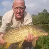 stevenquinlivan - @stevenquinlivan - TikTok