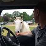 Steve Quinton - @steve.quinton.92 - Instagram