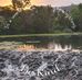 Stephen Quirk - Facebook