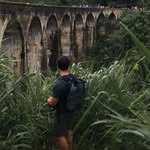 Stephen's QuirkySnaps - @quirkysnapsteve - Instagram