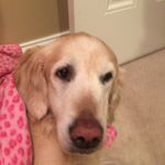 Steve Quirk - @squirtopolis - Instagram
