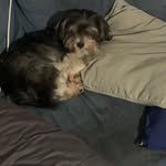 Steven Quirk - @stevenq47 - Instagram
