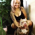 Steven Quiroz - @topqualitybullies - Instagram