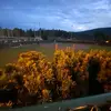 stevie.quiroz123 - @stevie.quiroz123 - TikTok