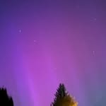 Steve Qunell - @stevequnell - Instagram