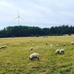 SR - @steve_raab - Instagram