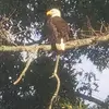 Steve T Rabb - @steve.t.rabb - TikTok